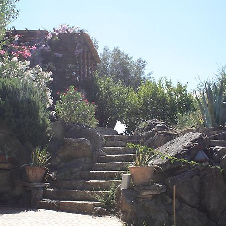 Rocca Del Vento Bed & Breakfast San Pantaleone ภายนอก รูปภาพ