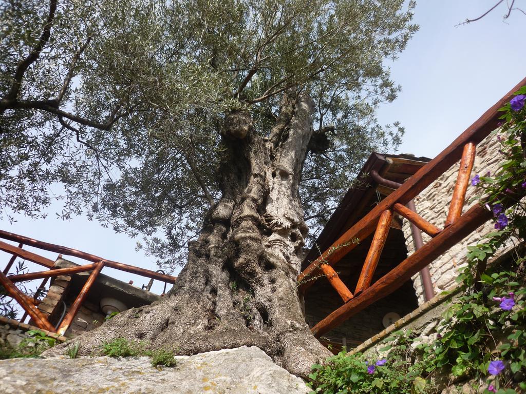 Rocca Del Vento Bed & Breakfast San Pantaleone ภายนอก รูปภาพ