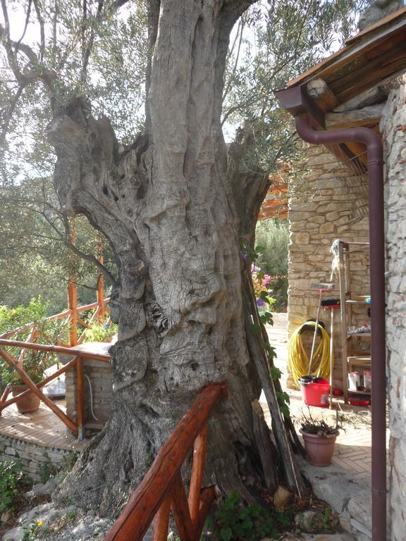Rocca Del Vento Bed & Breakfast San Pantaleone ภายนอก รูปภาพ
