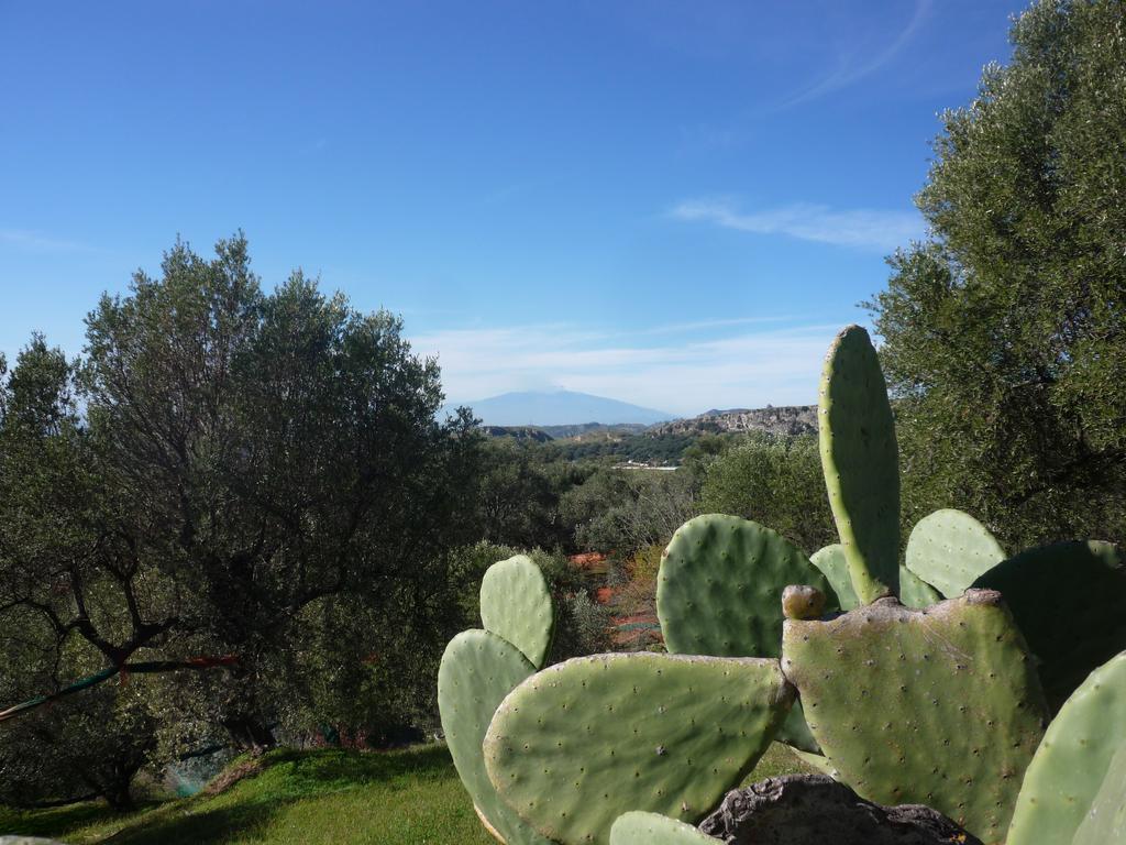 Rocca Del Vento Bed & Breakfast San Pantaleone ภายนอก รูปภาพ